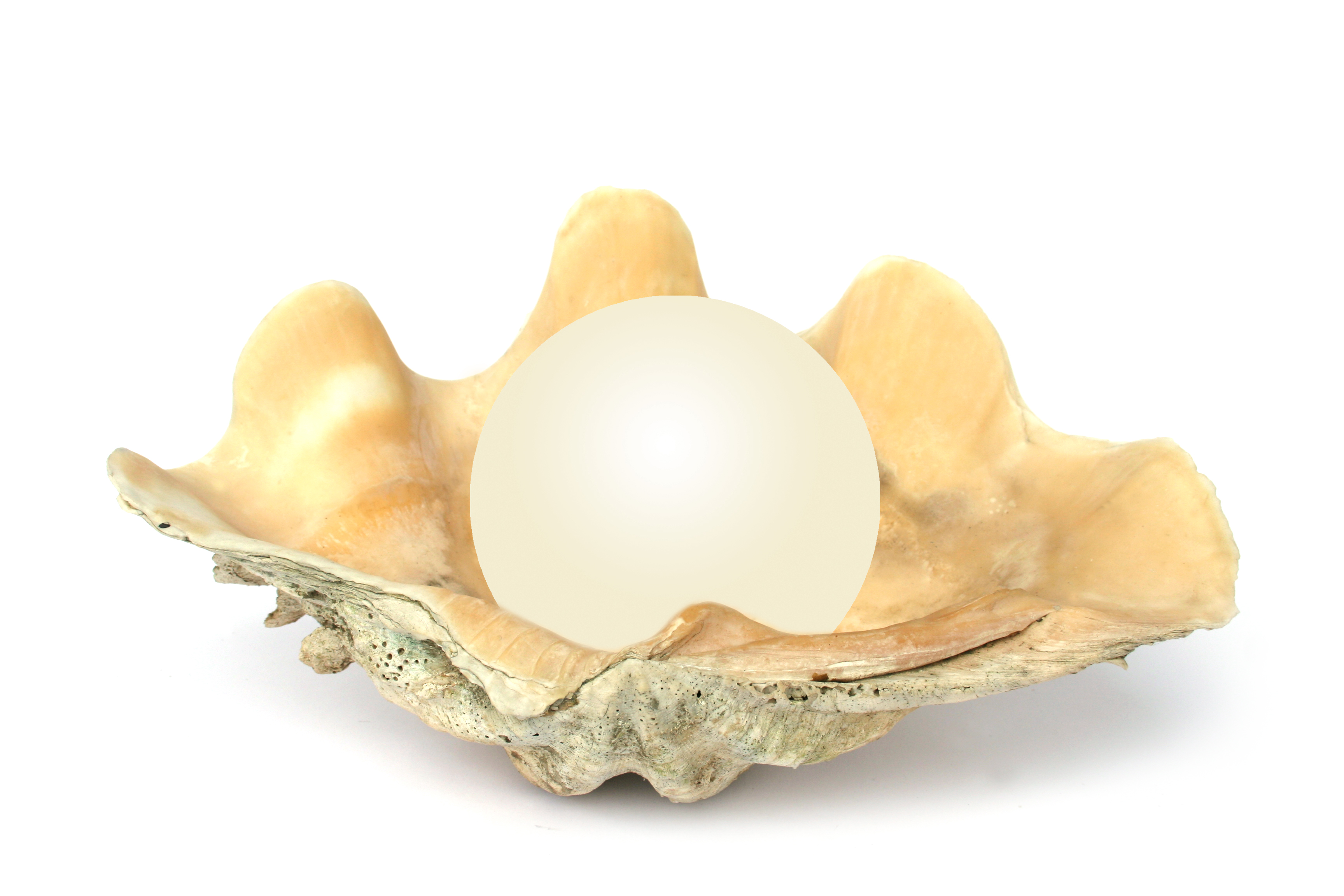 enough matching stones for a pearl necklace? That's a lot of oysters!